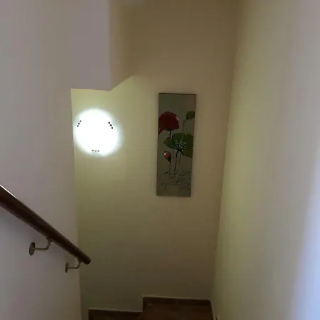 Semon House بيت للعطل ايامونتي
